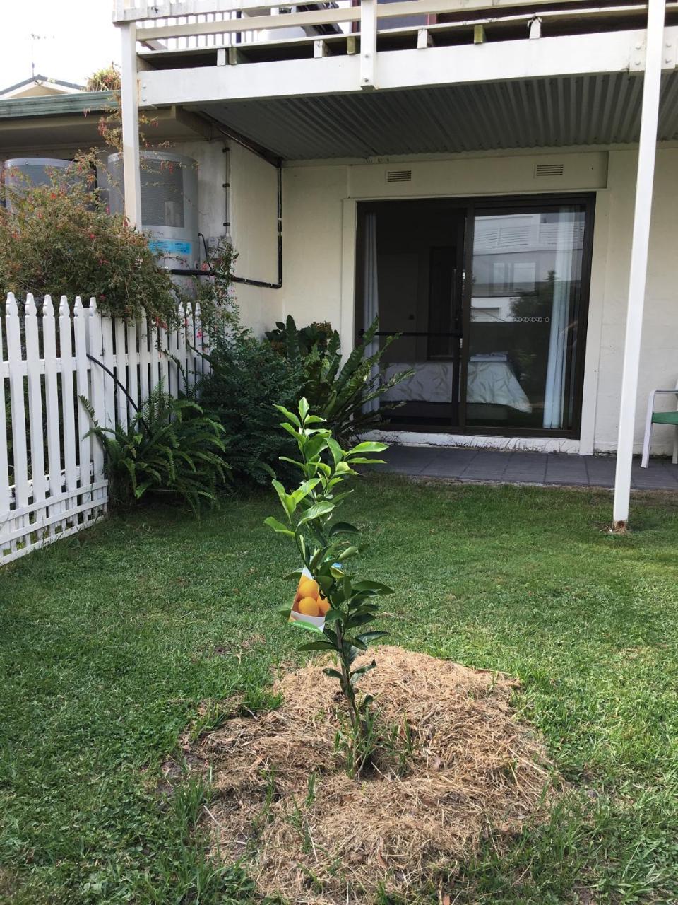 Telopea Court Motel Merimbula Ngoại thất bức ảnh